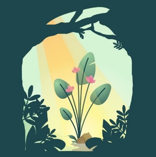Plants using light as energy source during photosynthesis